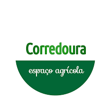 Eduarda Teixeira