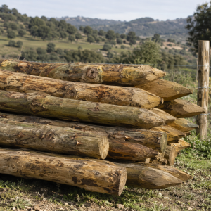 Postes Toscos